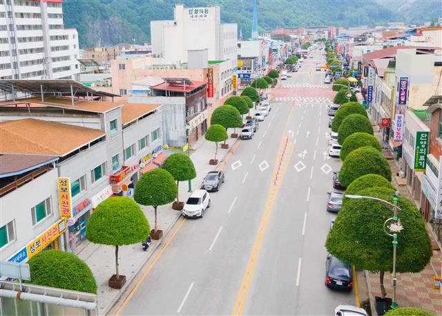 자치단체들이 이색적인 가로수길을 조성해 보는 이들을 즐겁게 하고 있다. 단양군 버섯 모양 가로수. 단양군 제공