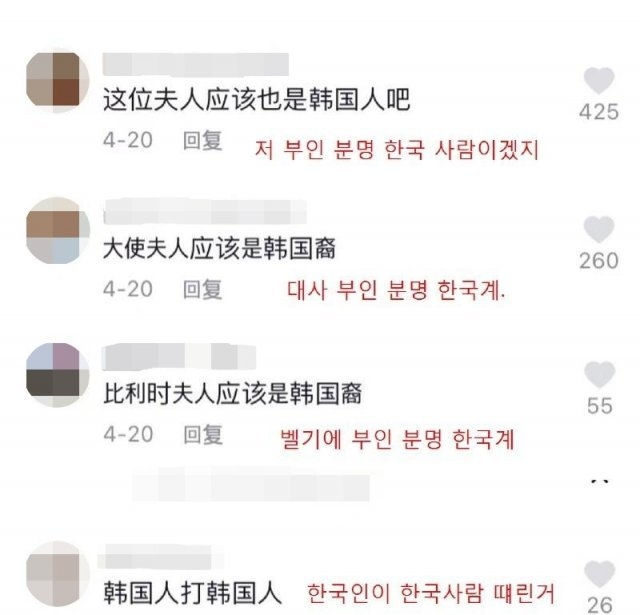 중국 네티즌이 벨기에 대사 부인이 한국계라고 주장하고 있다. 온라인 커뮤니티 캡처 