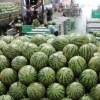 초복 앞두고… 시원한 수박 나왔어요