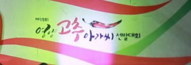제20회 영양고추아가씨 선발대회 홈페이지 캡처