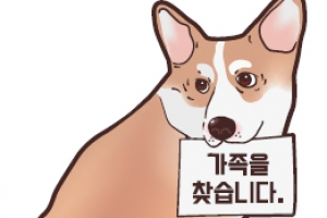 서초 “유기동물 입양하고 지원금 받으세요”