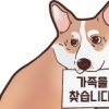 서초 “유기동물 입양하고 지원금 받으세요”