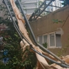 부산서 건물 철거 중 안전펜스 붕괴…아파트 놀이터 외벽 덮쳐