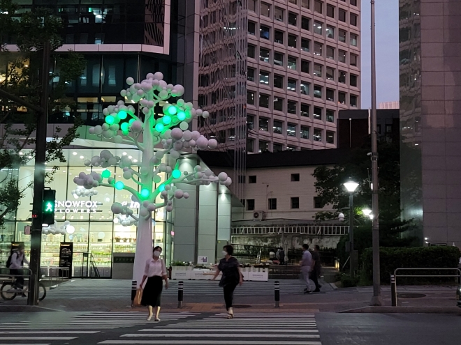 연두색으로 유혹하는 화이트 모션