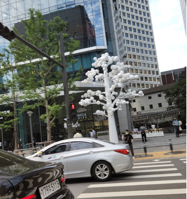 낮에 본 화이트 모션