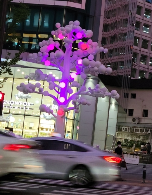 진한 보랏빛으로 변신한 화이트 모션