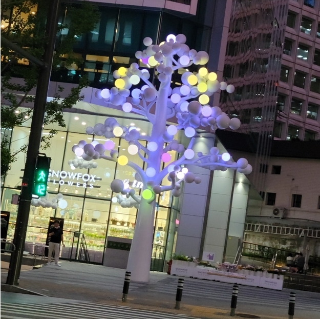 알록달록한 자태를 뽐내는 화이트 모션