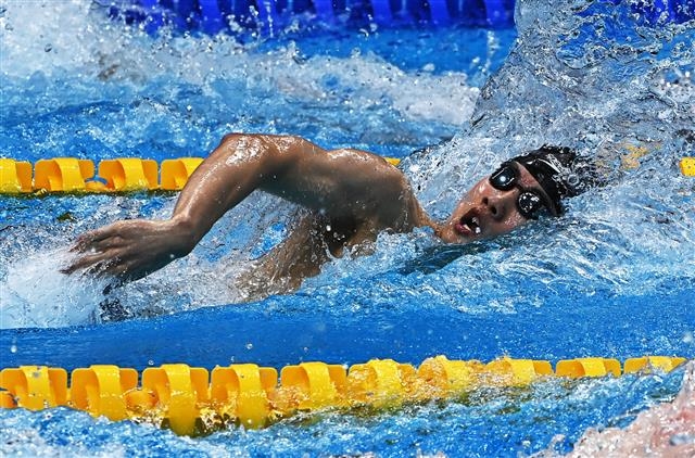 도쿄 올림픽 수영 결승