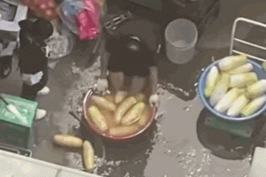 “무 닦던 수세미로 발 ‘벅벅’”…檢, 조리장에 징역 8개월 구형