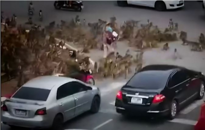 태국 롭부리 지역에서 원숭이 무리가 도로를 점령해 패싸움을 벌이는 바람에 교통 체증이 일어나고 있다. 유튜브 화면 캡처