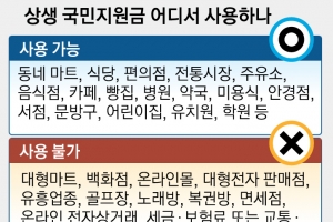 국민지원금 편의점 되고 대형마트 안 된다