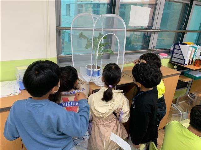 인천경연초등학교 학생들이 화분에서 자라고 있는 식물을 관찰하고 있다. 인천경연초중학교 제공