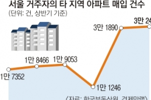 서울시민 아파트 원정 매입 사상 최대