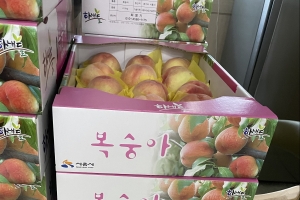 “어려운 분들에게 전해 달라”…  농사지은 복숭아 기부한 70대 노부부