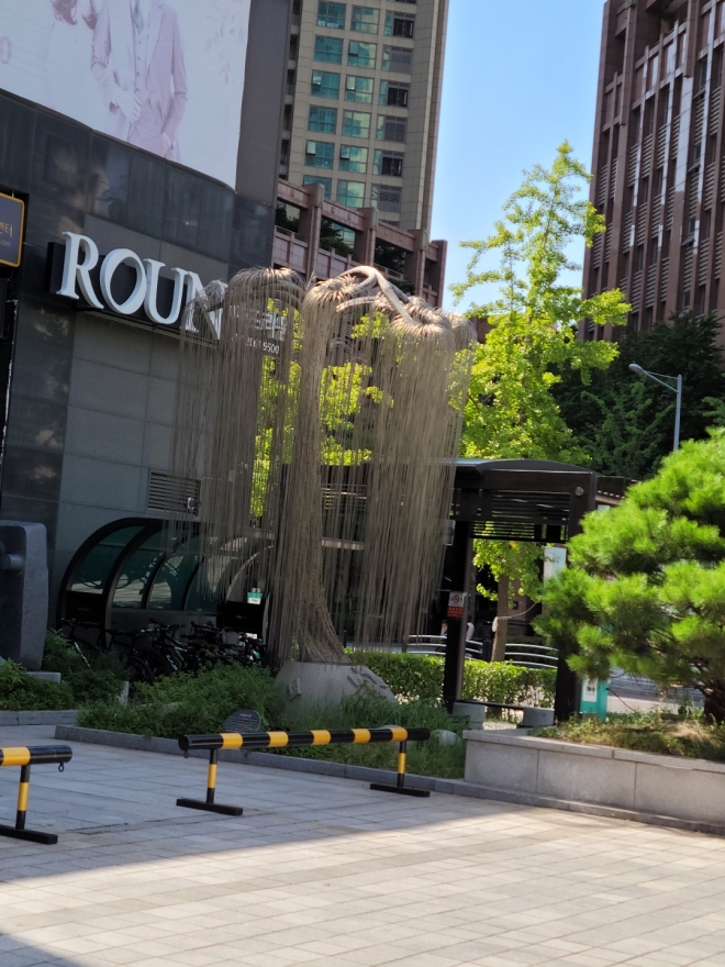 햇살아래 빛을 내는 버들선생