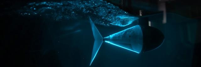 과학자들은 참치의 움직임을 모방한 로봇 물고기 ‘튜너봇’을 만들었다. 사진은 튜너봇을 만들기 전 참치 꼬리지느러미와 물의 움직임에 대해 컴퓨터 시뮬레이션한 장면. 미국 버지니아대 제공