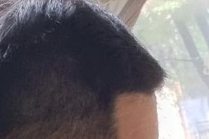 시흥시, 코로나19 복지사각지대 해소 “구슬땀”