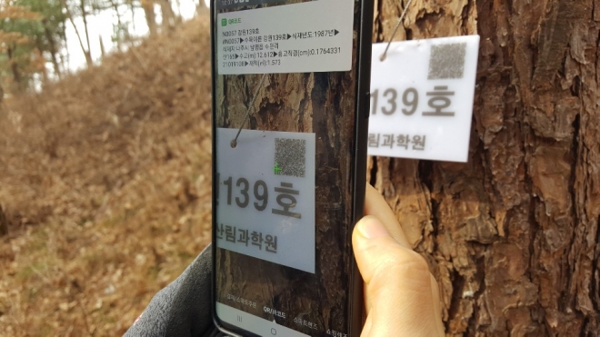 국립산림과학원이 QR 코드를 활용한 수목 관리 및 육종관리 시스템 구축에 나섰다. 국립산림과학원 제공