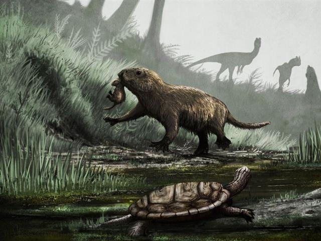 원시 포유류는 공룡이 멸종되기 직전부터 등장하기 시작했다. 과학자들은 이들이 공룡 멸종 이후 폭발적이고 빠른 속도로 진화한 것이라고 밝혔다. 사이언스 제공