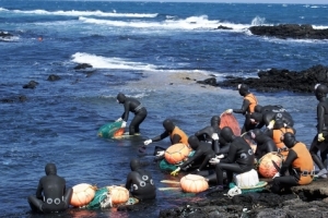 경북 동해안 해녀문화 특화상품 개발 탄력받는다