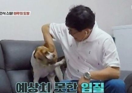‘개는 훌륭하다’ 이경규가 비글에 물려 손에 상처가 난 모습. KBS2