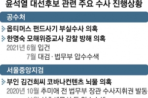 檢·공수처, 윤석열 물밑수사 확대… 경선정국 뇌관 되나