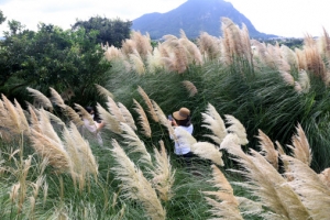 성큼 다가온 가을