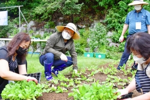 코로나 우울 흙 만지면 싹! 힐링 백신은 중랑 농장 딱!