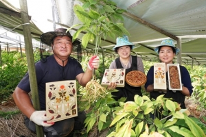 인삼 주산지 시·군, 소비 촉진 위해 팔 걷었다.
