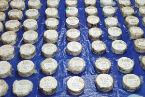 1350만명 동시투약 마약 밀수범 검거…역대 최대 규모