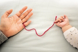 독신자도 ‘양자 입양’ …가족이라 부릅니다