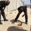 팔레스타인 죄수 6명 ‘쇼생크 탈출’… 숟가락으로 땅 파 이스라엘서 탈옥