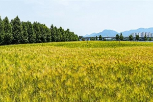 중랑아트센터 무료로 써요… 예술인·주민 ‘윈윈’
