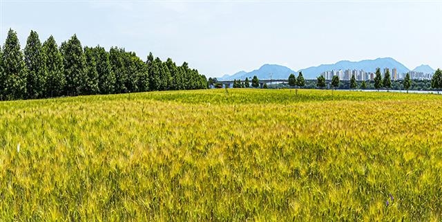 서울 중랑구 중랑문화재단이 중랑아트센터를 무료로 대관하고 있는 가운데 지난달 ‘빛의 여행’ 전시를 진행한 ‘중랑포토클럽’ 회원의 출품작. 중랑문화재단 제공