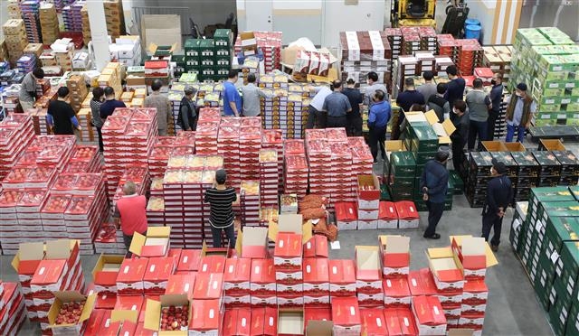 추석 앞두고 껑충 뛴 과일값에 경매도 신중