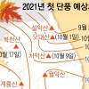 온난화 발목 잡혀… 오매, 단풍 늦겠네