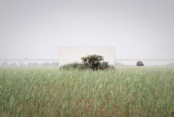 ▲ Tree #19_2  l  (L)780x(W)1080mm  l  Glass+Ink+Paper+Wood  l  2021