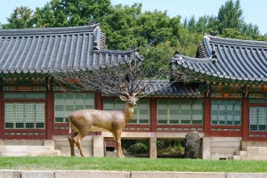 덕수궁에 웬 사슴이…현대미술로 펼친 ‘상상의 정원’을 거닐다