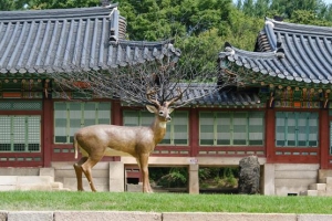 덕수궁에 뜬 기묘한 사슴 이렇구나, 신선의 세계란