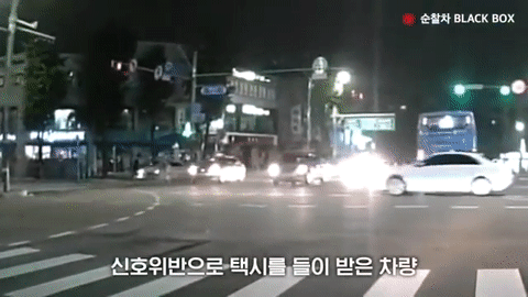 경찰 순찰차 코 앞에서 음주 교통사고 후 도주