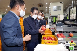 이성희 농협중앙회장, 추석 산지 수급 상황 점검