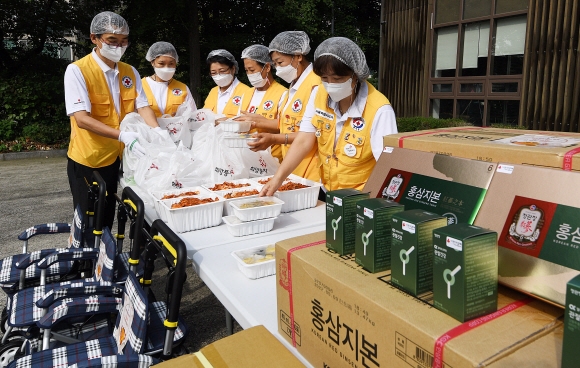 13일 서울 노원구 대한적십자사 서울지사 북부봉사관에서 열린 추석맞이 홀로 어르신 지원 ‘효 배달’ 캠페인 행사에서 자원봉사자들이 어르신들에게 전달할 물품들을 준비하고 있다. 2021.9.13 오장환 기자 5zzang@seoul.co.kr