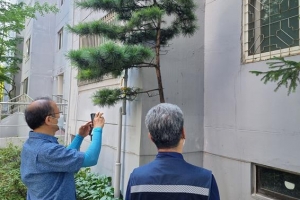 안전 챙기는 양천… 노후아파트·공공시설 긴급 점검