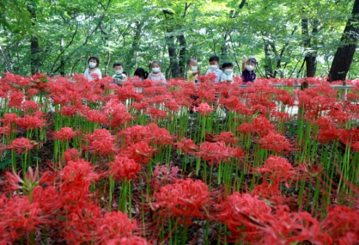 [포토] ‘빨갛게 빨갛게’ 물들었네