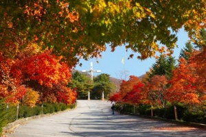 천진암~남한산성 순교성지 순례길 생긴다