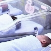 3자녀 의미 없는 ‘합계 출산율 0.84명’… 출생아 늘리기 궁여지책