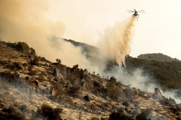 15일(현지시간) 미국 캘리포니아 세쿼이어 국립공원에서 불길을 잡기 위해 헬리콥터가 물을 뿌리고 있다. AP 연합뉴스