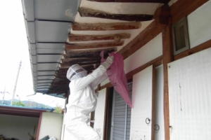 전국 ‘벌 쏘임 경보’ 발령…벌집 발견시 자세 낮추고 천천히 이동