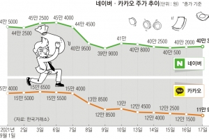 “금소법 위반 플랫폼, 25일부터 서비스 중단”