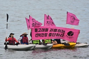 “제주도 야생 돌고래 멀리서 지켜주세요”